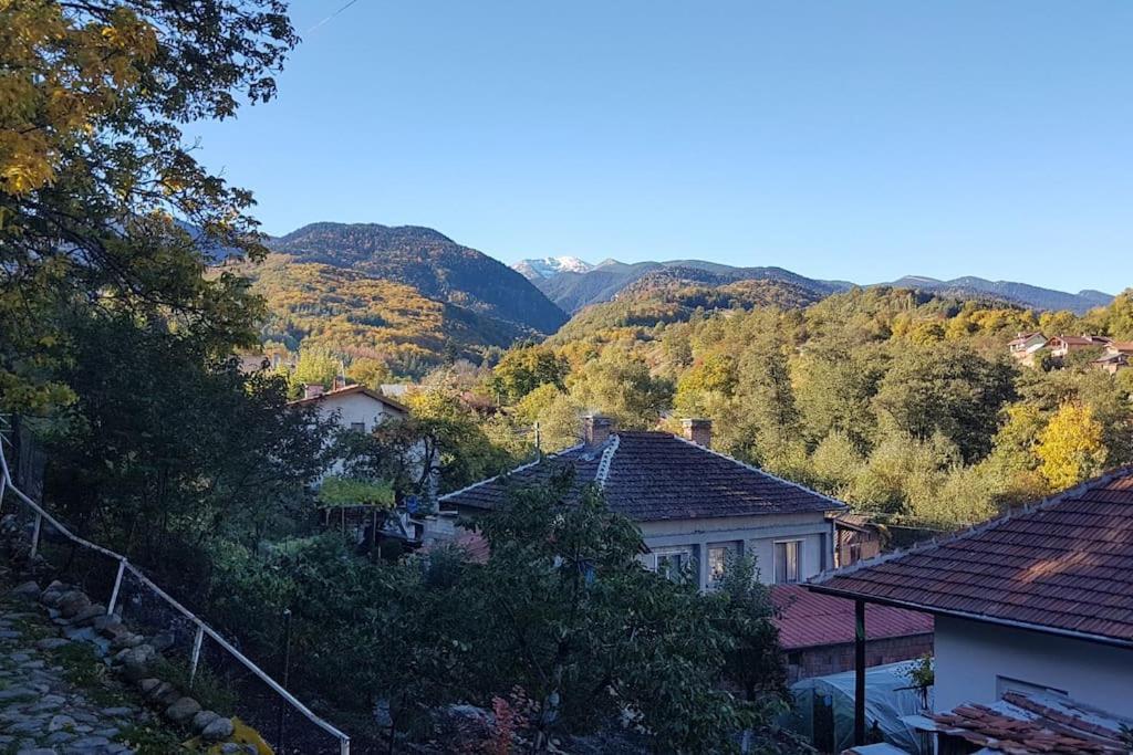Duvaro Guesthouse Raduil Exteriér fotografie